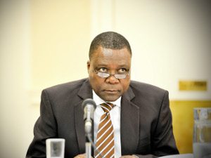 Xolani Mkhwanazi, BHP Billiton SA chairman