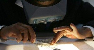 Namibia restarts gem talks with De Beers