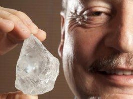 Petra shares shed 10.5% after Q3 revenue hit