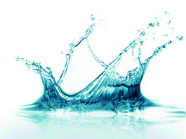 Chinese interest in CRG may be cooling