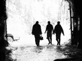 SA unemployment rate rises to 25.5%