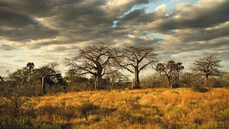 Rare Earth Metals In Kenya