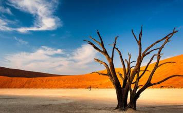 Namibia’s gold rush is intact thanks to Wia, B2Gold