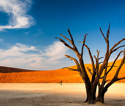 Namibia’s gold rush is intact thanks to Wia, B2Gold