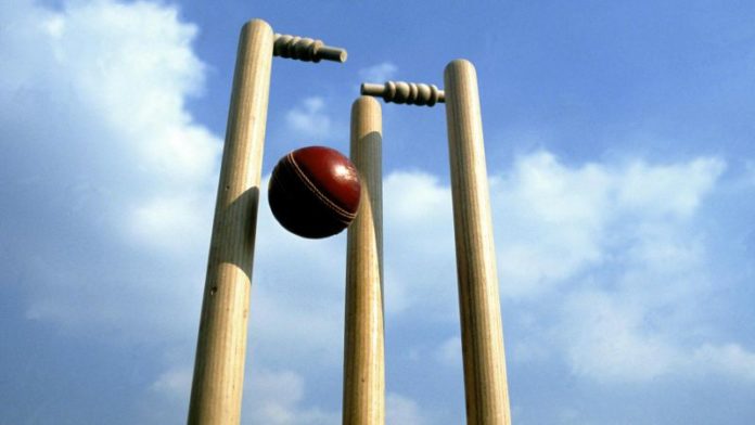 cricket wickets