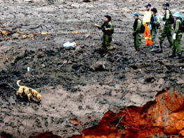 Brazil bans upstream mining dams, orders decommissioning by 2021