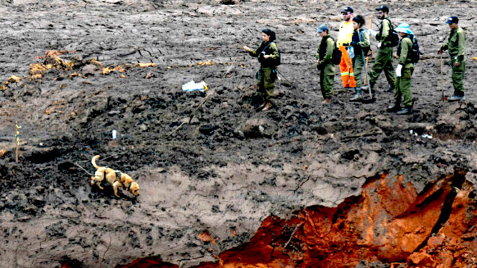 brumadinho vale