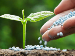 Kropz says 1 million ton a year Hinda phosphate project to cost $355m