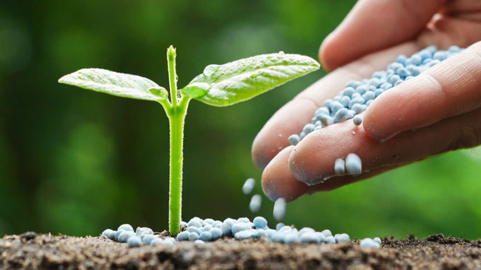 Phosphate-Fertilizer