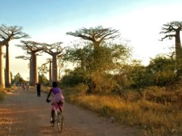 US backs Madagascar rare earths project