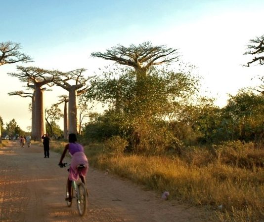 US backs Madagascar rare earths project