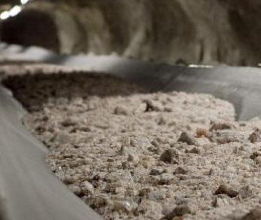 Kore warns of potential delays in approving engineering contract for $1.83bn Kola potash