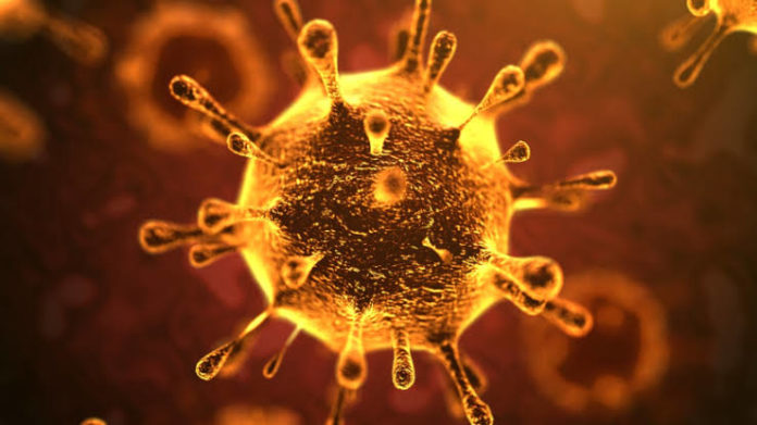 coronavirus