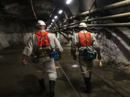 Coronation quits SA’s profligate PGM sector