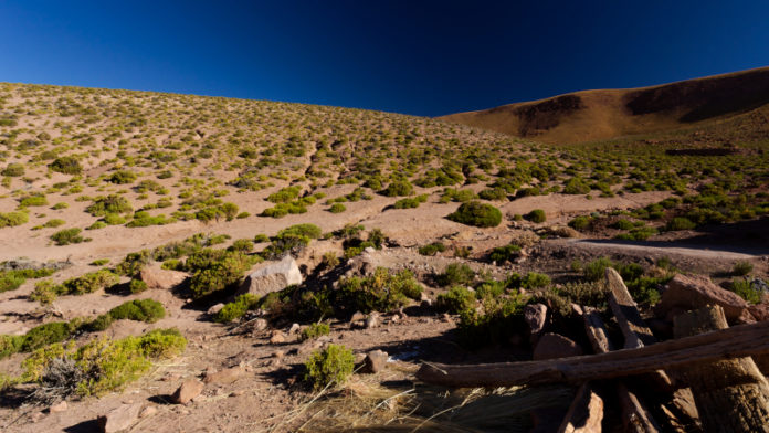 Salares Norte