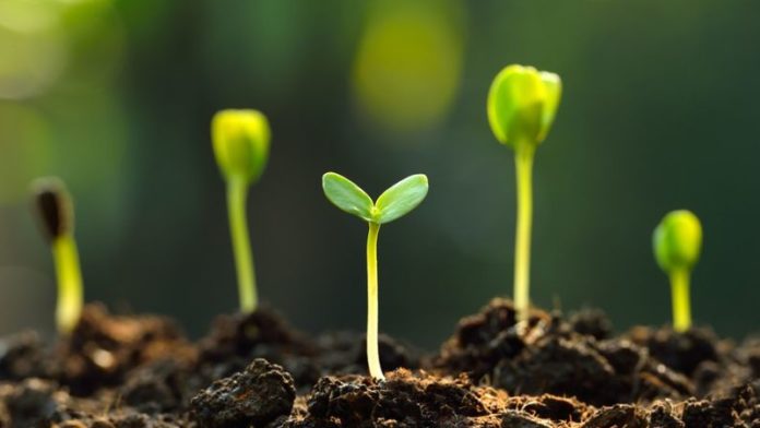 potash_crops_green_ESG