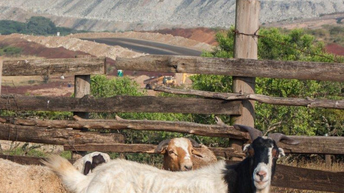 Somkhele Coal Mine, KwaZulu-Natal