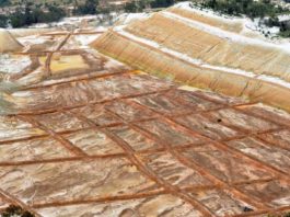 Pan African secures R2.5bn Mintails funding with gold sales deal