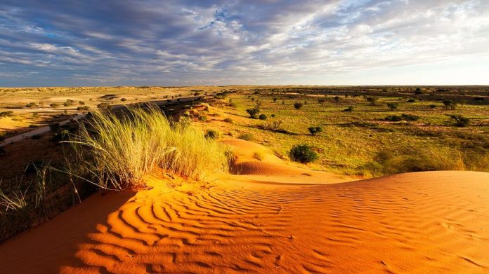 kalahari