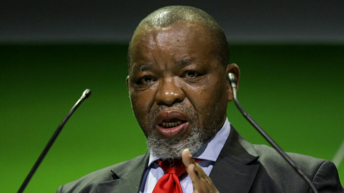 Gwede Mantashe