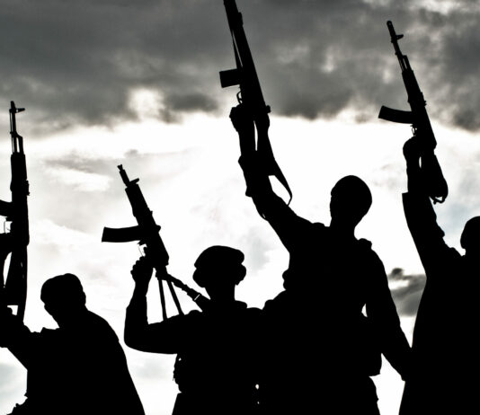 China warns citizens after nine killed near Central African Republic gold mine