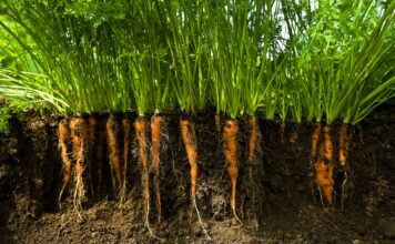 Kore in talks to sell company after derisking $2.2bn Kola