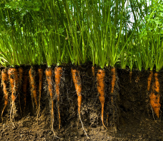 Kore in talks to sell company after derisking $2.2bn Kola