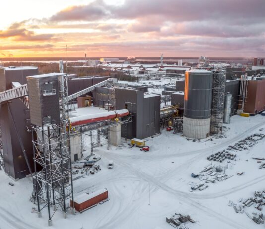 Sibanye’s R18bn Finland expansion is tip of the iceberg