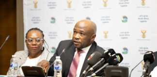 Cadastre to be rolled out within a year, says DMPR’s Mbele