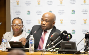 Cadastre to be rolled out within a year, says DMPR’s Mbele