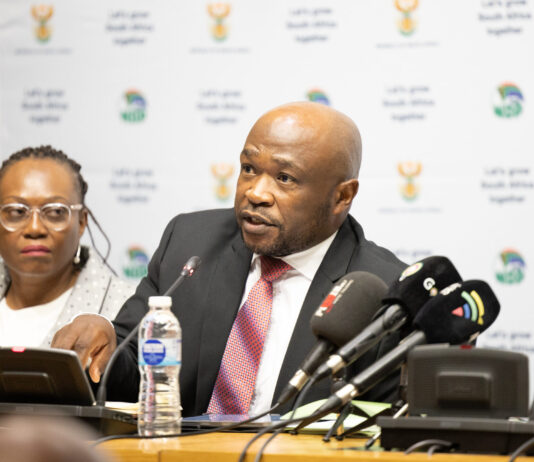 Cadastre to be rolled out within a year, says DMPR’s Mbele
